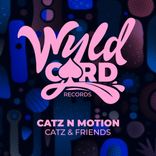 Artwork for "Catz & Friends"