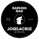 Portada para "Do You Feel"