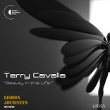 Portada para "Beauty in This Life"