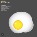 Artwork for "Broken Birds"