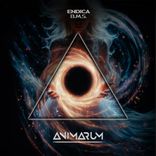 Artwork for "B.M.S. (Extended Mix)"