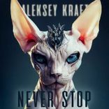 Portada para "Never Stop"