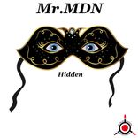 Artwork voor "Hidden"
