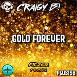 Artwork for "Gold Forever (Fitzer Remix)"