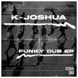 Artwork for "Funky Dub"