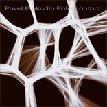 Artwork voor "Paleocontact"