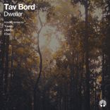 Artwork voor "Dweller"