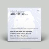 Artwork for "Dubwise Pres. Mighty 30, Vol. II"