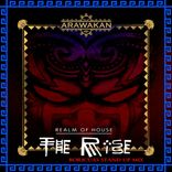 Artwork for "The Rise REMIX"