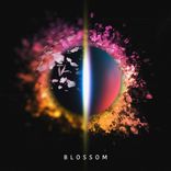 Artwork for "Blossom"