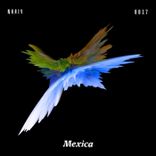 Hyperactive Dog (Deep Version)