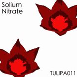 Artwork for "Nitrate"