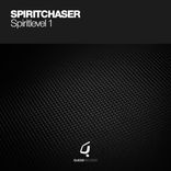 Portada para "Spiritlevel 1"