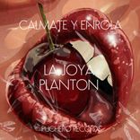 Artwork for "Calmate Y Enrola"