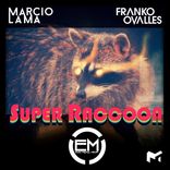 Artwork voor "Super Raccoon"
