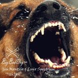 Artwork for "Pitch Dark"