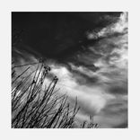 Portada para "Additives"