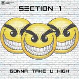 Artwork for "Gonna Take U High"