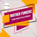 One Night In A Disco