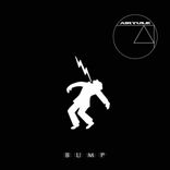 Artwork für "BUMP"