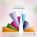 Artwork for "Peacock"