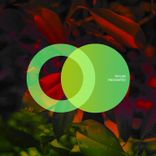 Artwork for "Enchanted"