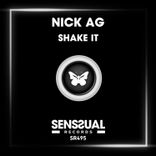 Artwork for "Shake It"