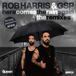 Artwork voor "Here Comes the Rain Again (The Remixes)"