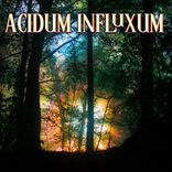 Portada para "Acidum Influxum"