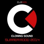 Artwork voor "Summer Mood 2014"