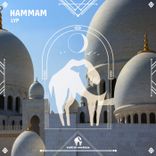 Artwork voor "Hammam"
