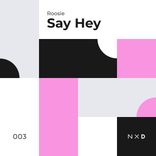 Artwork for "Say Hey"