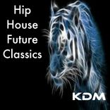 Artwork for "Hip House Future Classics"