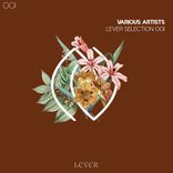 Portada para "Lever Selection 001"