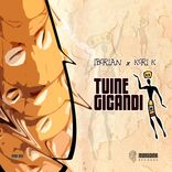 Artwork für "Tuine Gicandi"