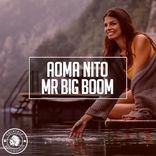 Artwork for "Mr Big Boom"
