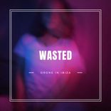 Artwork for "Wasted"