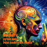 Artwork for "Animate"