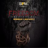 Artwork for "Freedom"