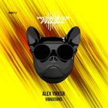 Artwork for "Vibrations"