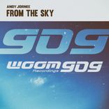 Artwork for "From The Sky"
