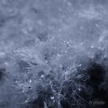 Artwork for "Submarine EP"