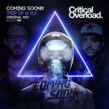 Artwork for "Trip Up & Fly"