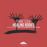 Portada para "Healing Bodies"