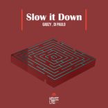 Artwork for "Slow it Down"