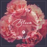 Artwork for "Bloom"