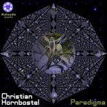 Artwork for "Paradigma"