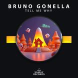 Portada para "Tell Me Why"