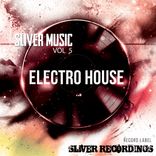 Artwork for "Sliver Music: Electro House, Vol.5"