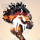 Artwork voor "You Don't Know"
